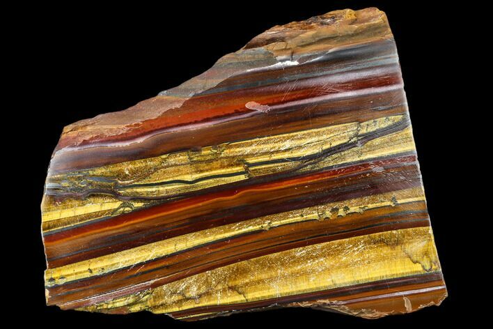 Polished Tiger's Iron Slab - South Africa #113009